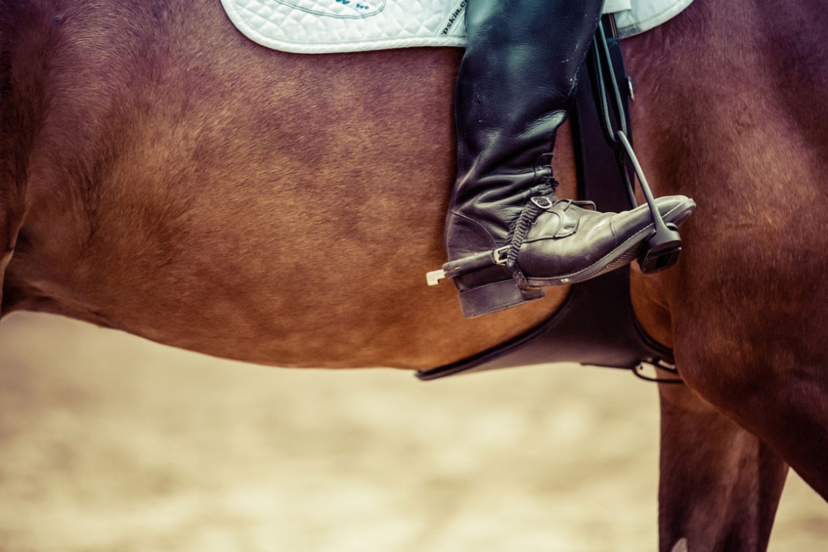 Duinmanege Van Poelenburgh - 2e hands markt paardenspullen