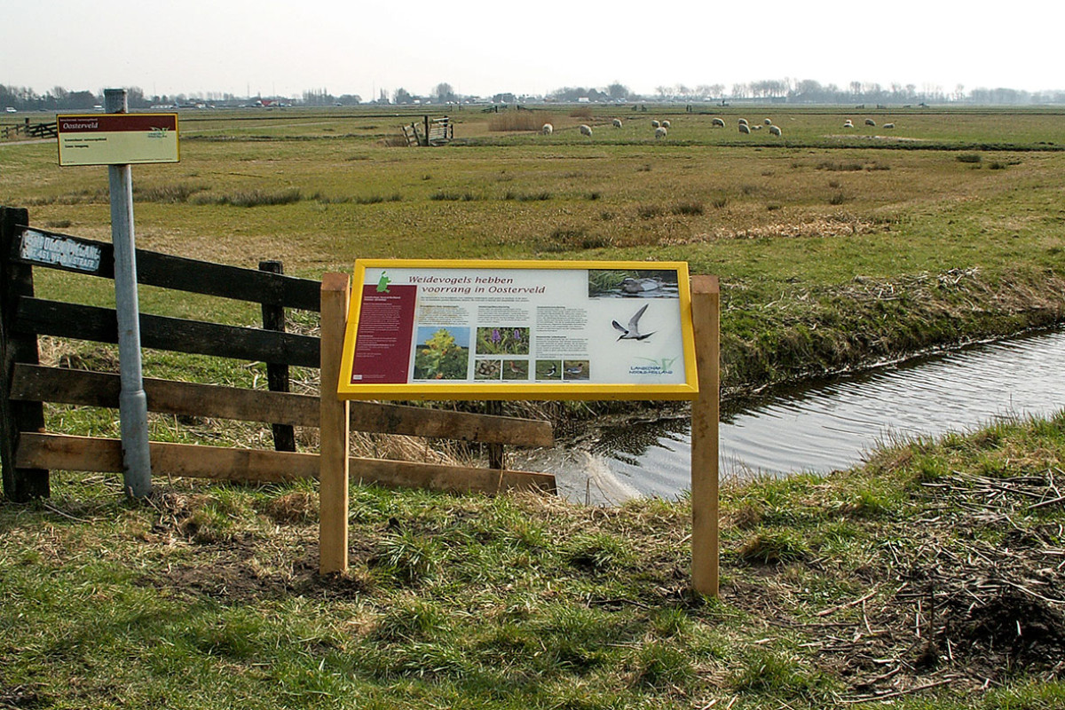 Excursie bij het Oosterveld