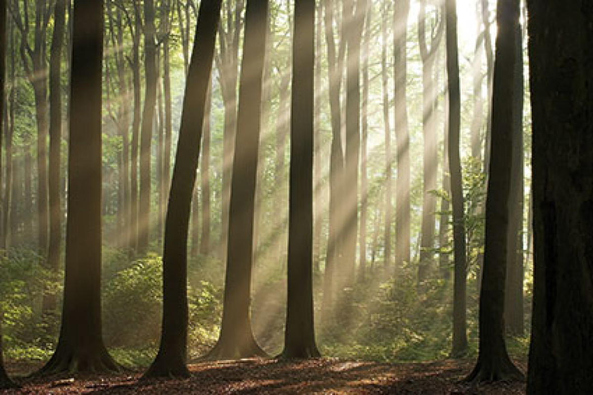 Wandeling Egmond-Binnen (Le Champion)