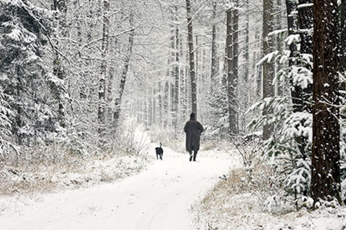 NHWB - Weihnachten-Wanderung in Castricum