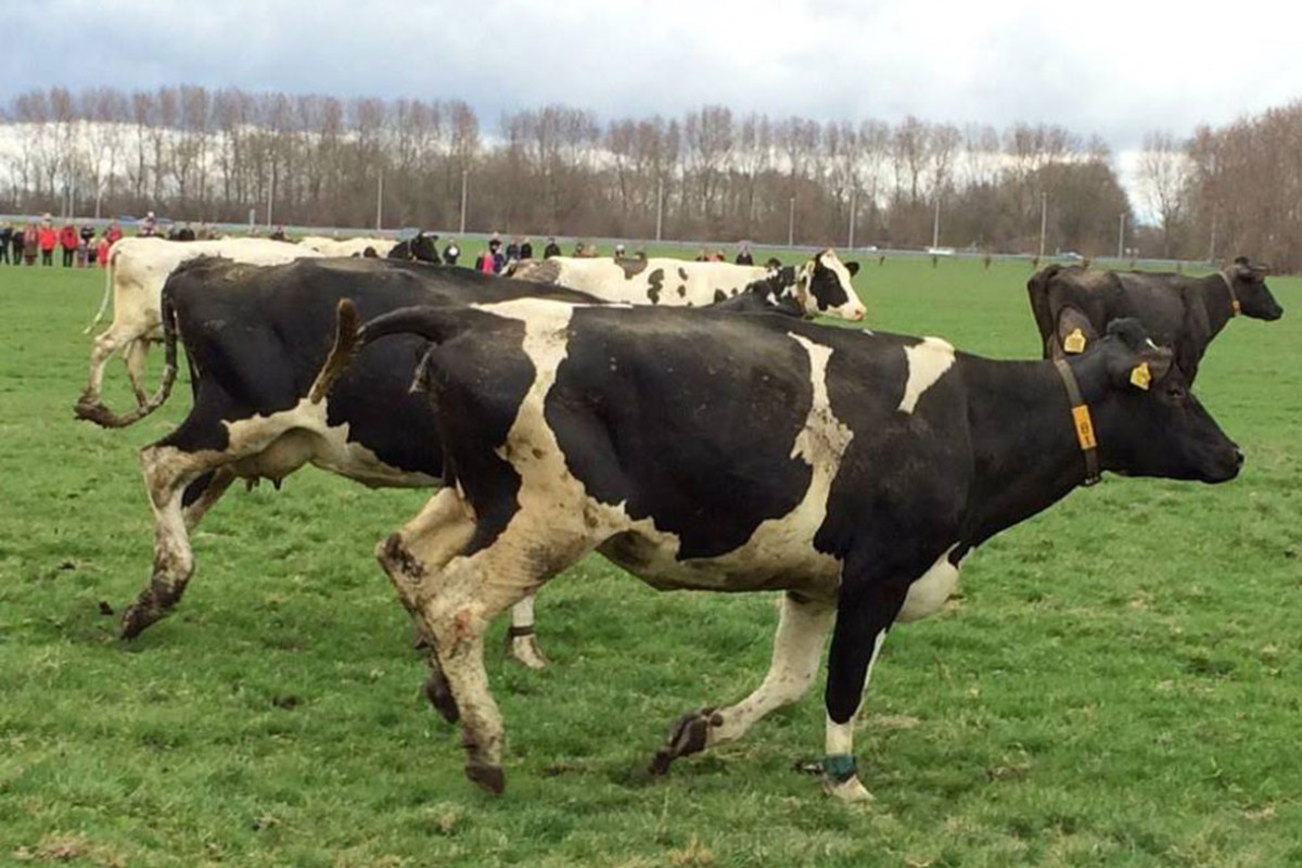 Open dag Ter Coulster, Heiloo