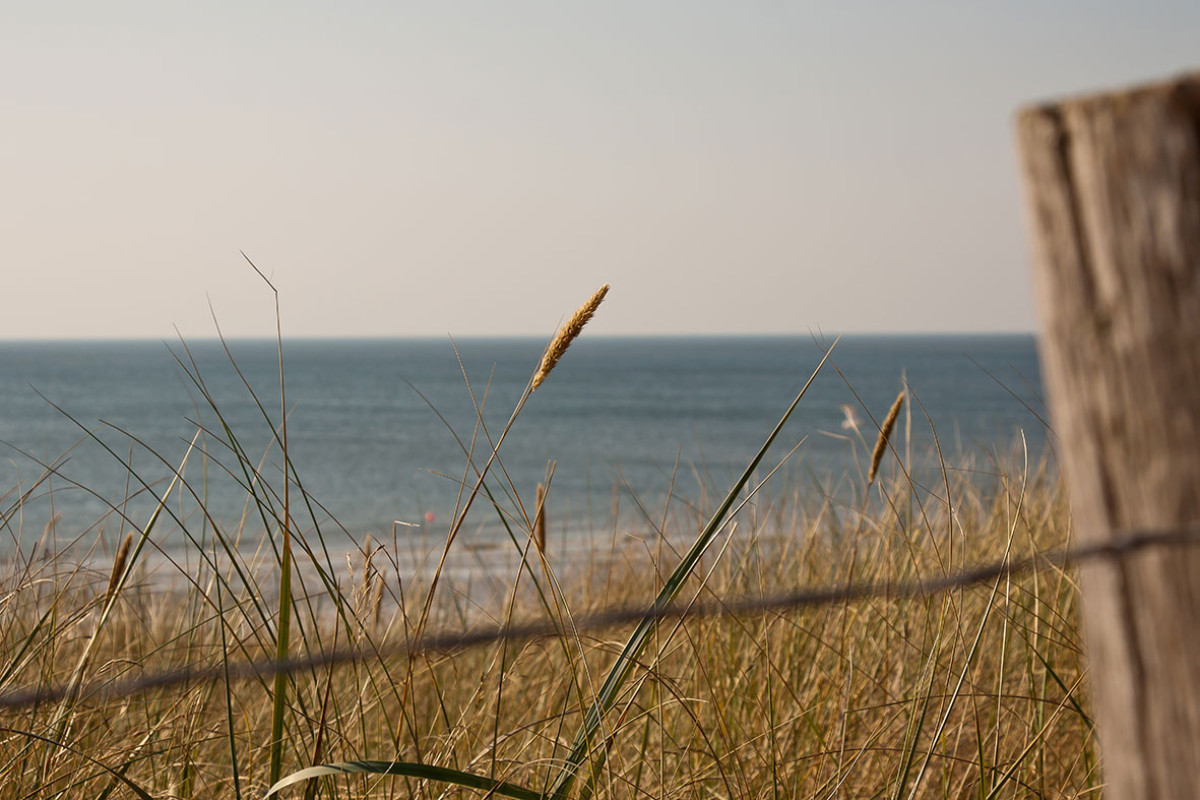 An der Kalksteingrenze in Bergen aan Zee