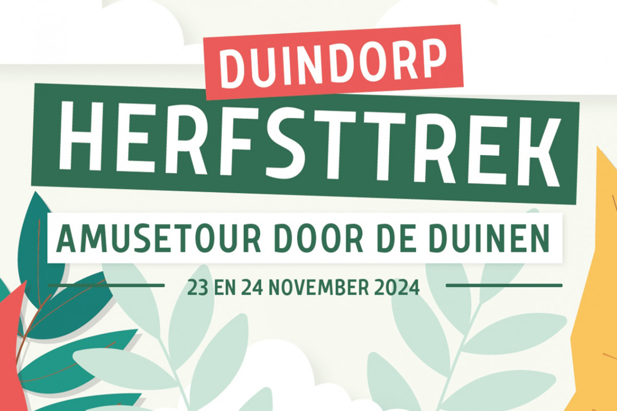 Herfsttrek door de Schoorlse Duinen