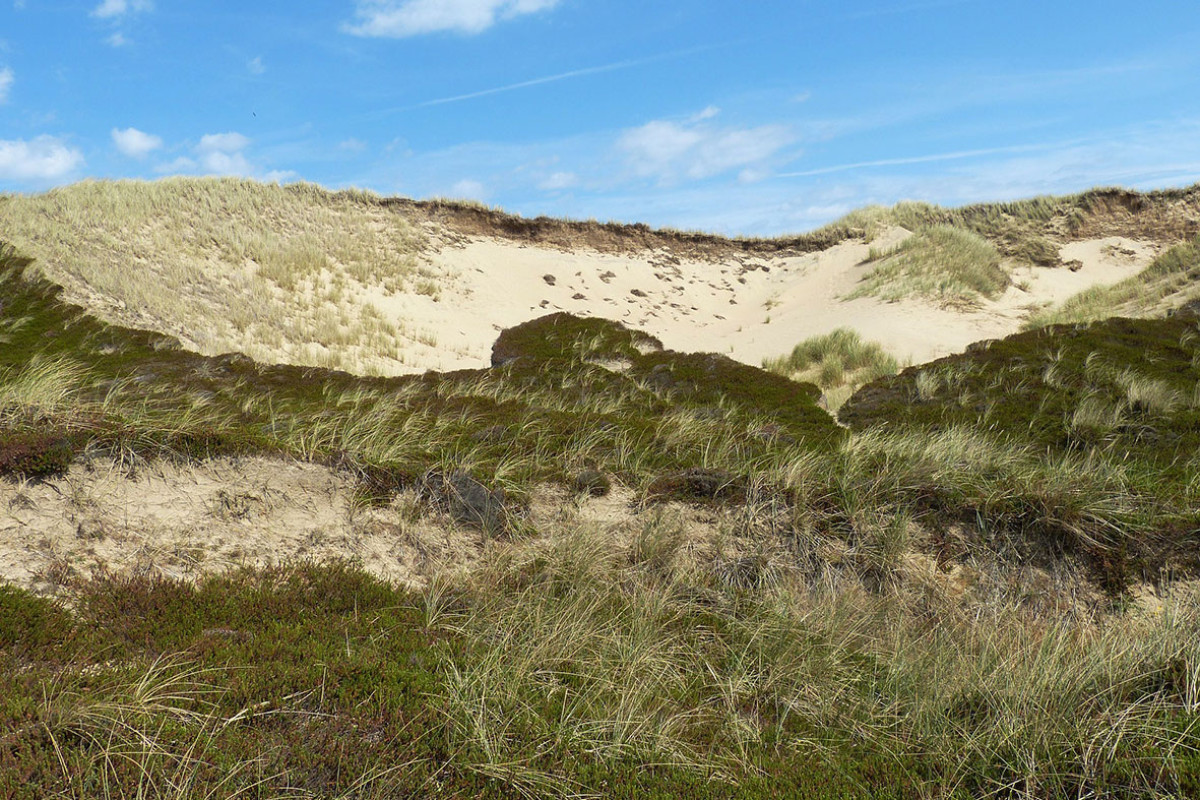 Dag van de duinen - Zeedorpenlandschap Egmond aan Zee