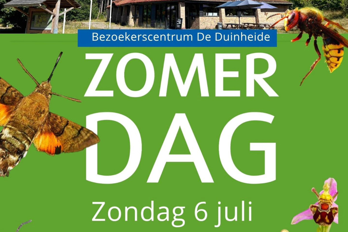 Bezoekerscentrum De Duinheide - Zomerdag
