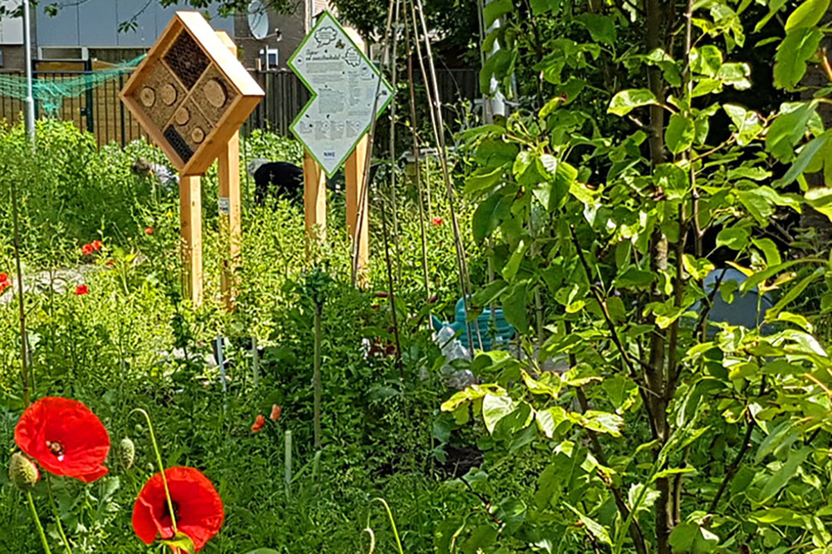 NL Doet - Buurttuin Heemskerk