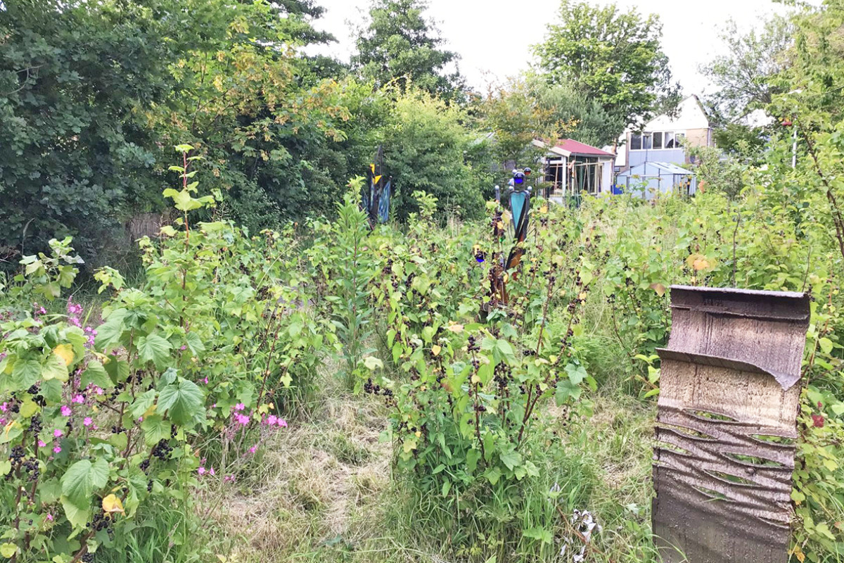 Fête de la Nature Heemskerk