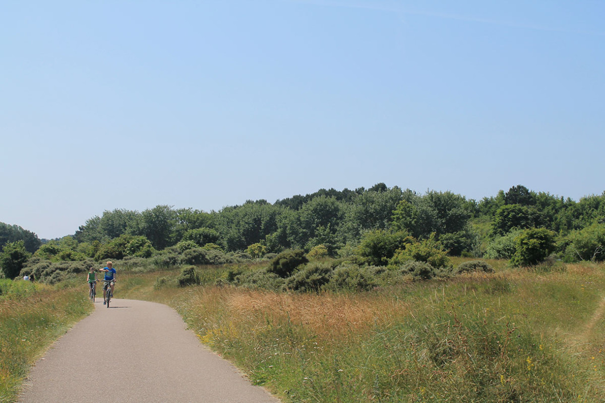 Fietstocht Bergen en omgeving