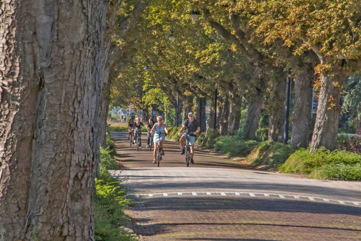 Entdecken Sie Dijk und Waard Tour