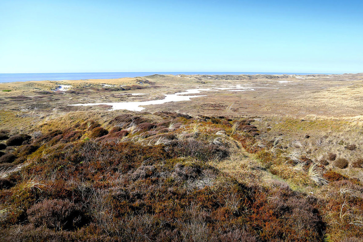 Heemskerk met duinen, dorpen en zee