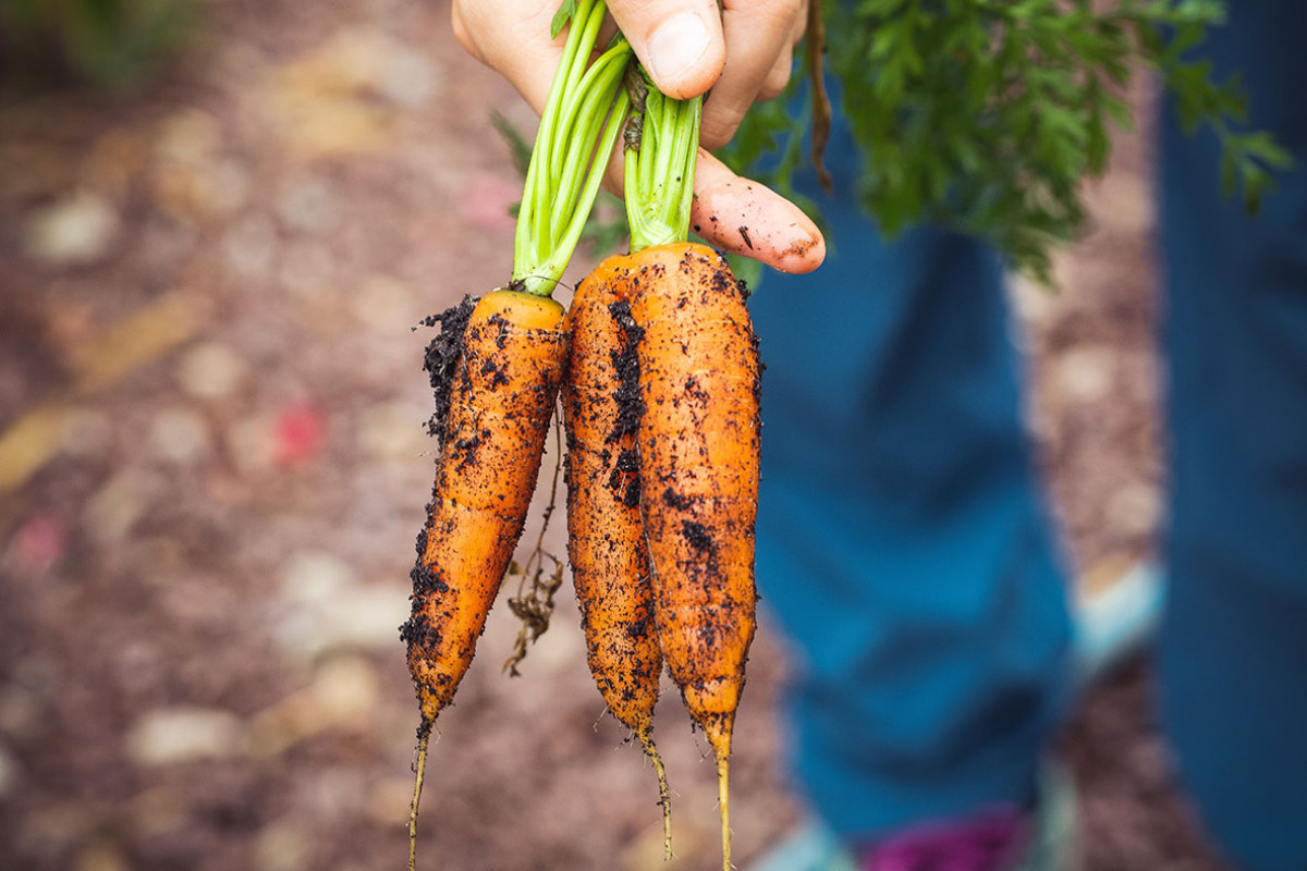 Foodwalks