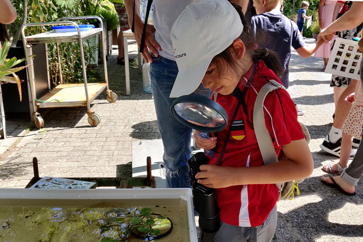 Hortus Alkmaar - Beestjesdag