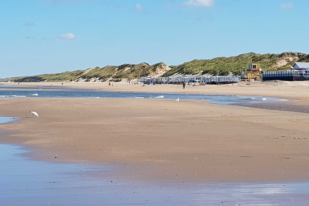 IVN - Korren strand Heemskerk