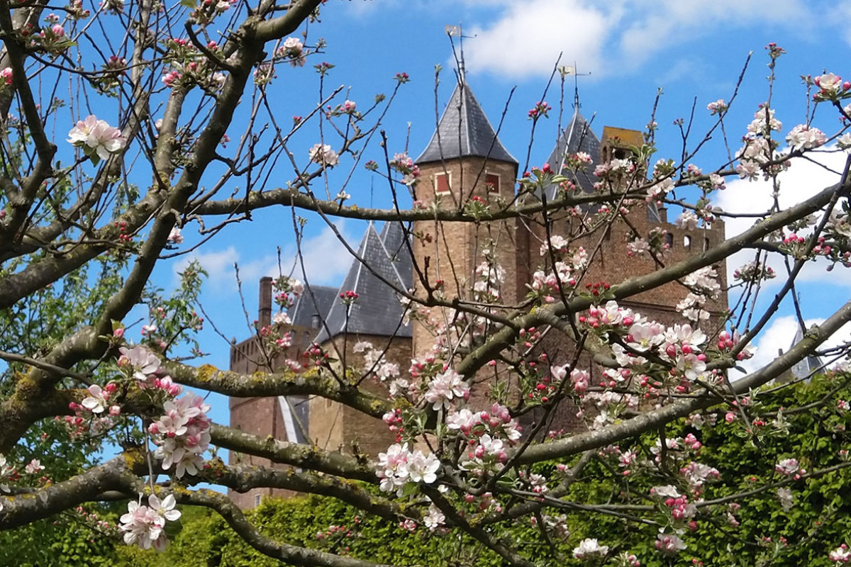 Schlossgarten Assumburg & Het Koetshuijs