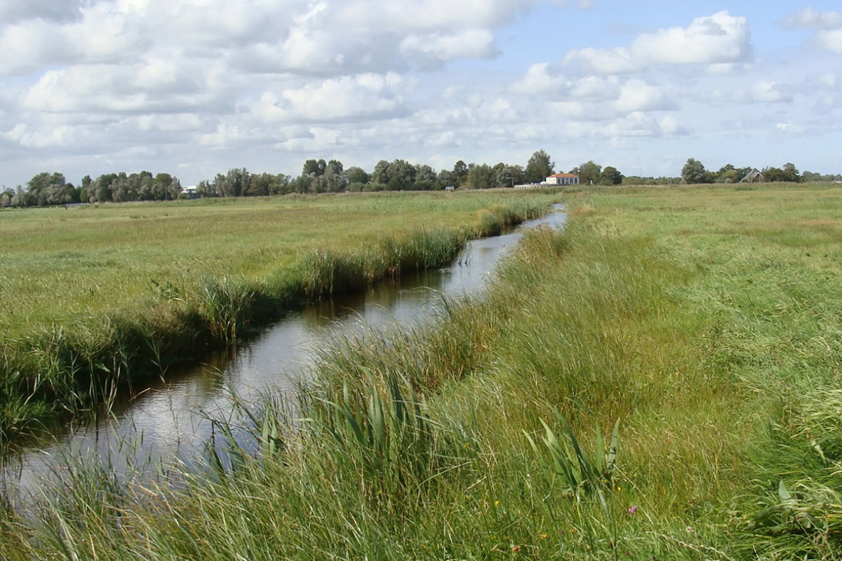 Wanderausflug Weide Nes