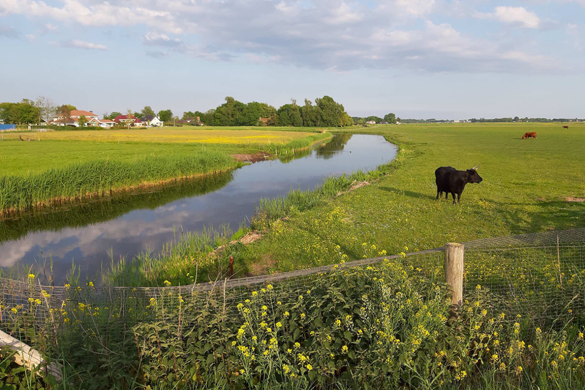 Stichting Oer-IJ - Ommetje Schulpvaart