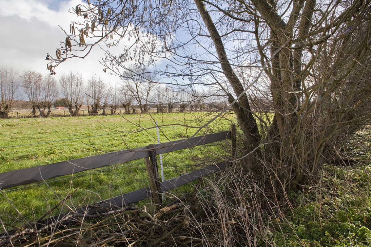 Archeologisch museum Baduhenna - Wandeling Zuiderloo