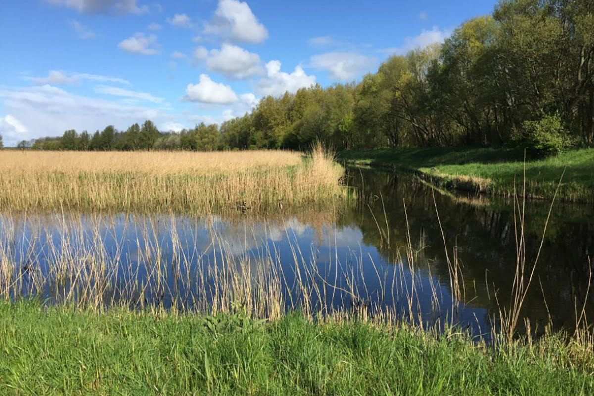 Buitencentrum Schoorl - Kleimeer excursie