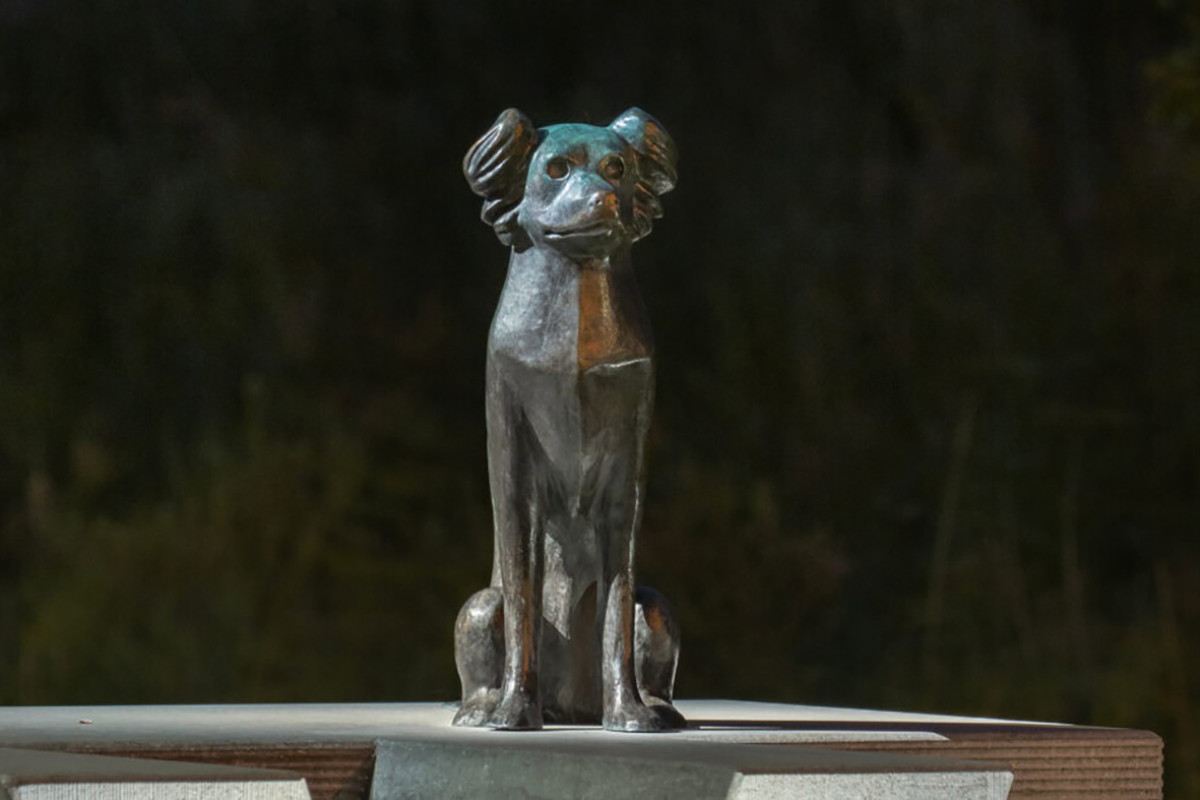 Stedelijk Museum Alkmaar - Marc Ruygrok