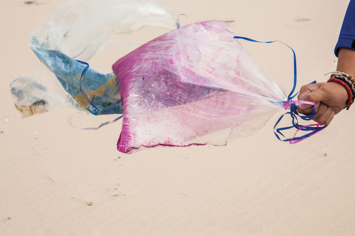 Beach Cleanup Tour - Castricum aan Zee