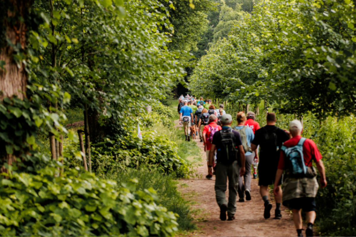 4 Wandertage Alkmaar