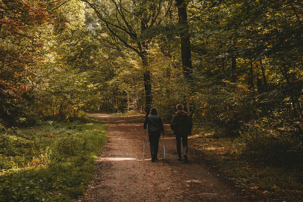 Wanderung Castricum (Le Champion)