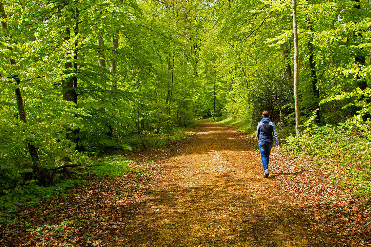 SWS - Sommerwanderung in Groet