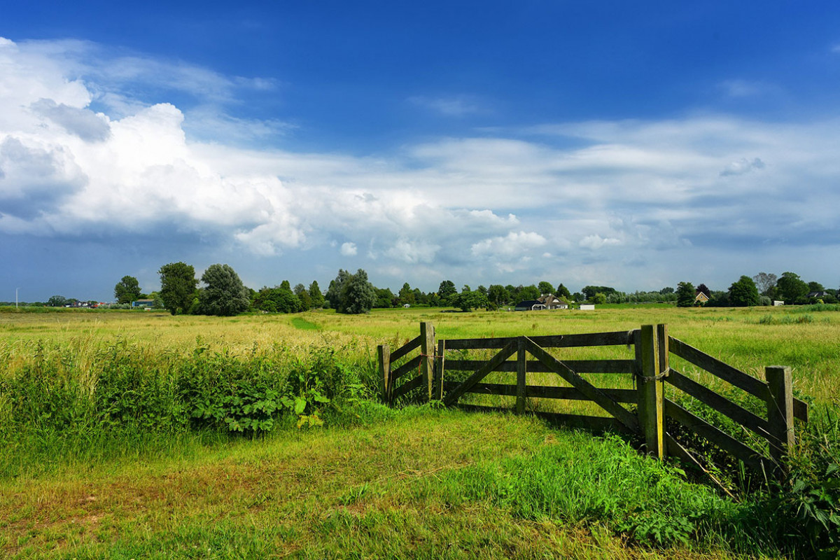 Wandelroute Wijkermeerpolder en Aagtendijk