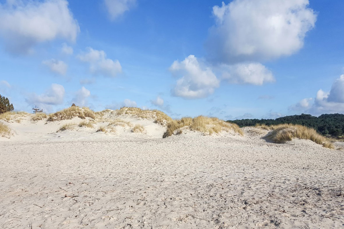 Buitencentrum Schoorl - Muir trek