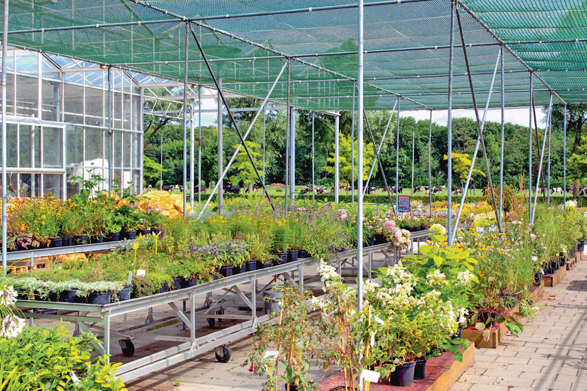 Roots Market und Gärtnerei Maatwerk - Groene Passie Markt