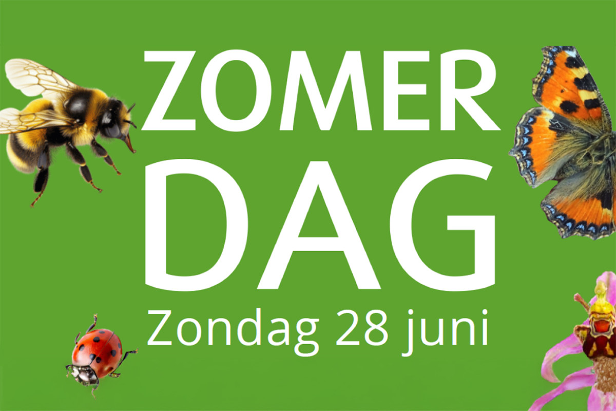 Bezoekerscentrum De Duinheide - Zomerdag