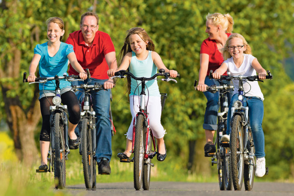 Die 5 schönsten Fahrradrouten in Dijk en Waard