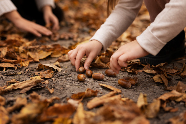 Herfst in Mooi-Kennemerland met kinderen