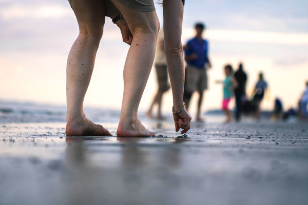 Schelpen zoeken aan het strand