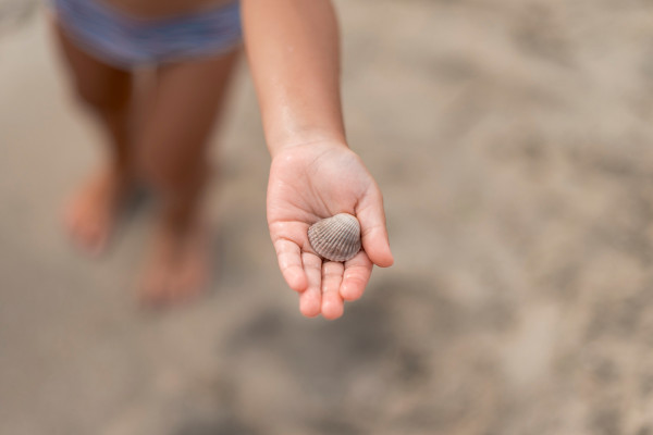 Schelpen zoeken aan het strand