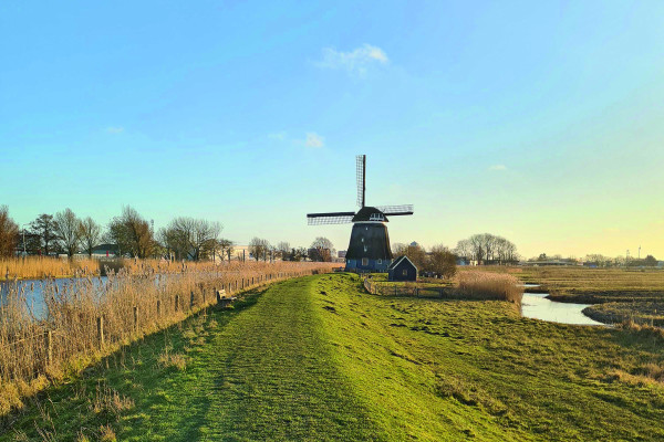 Dijk en Waard