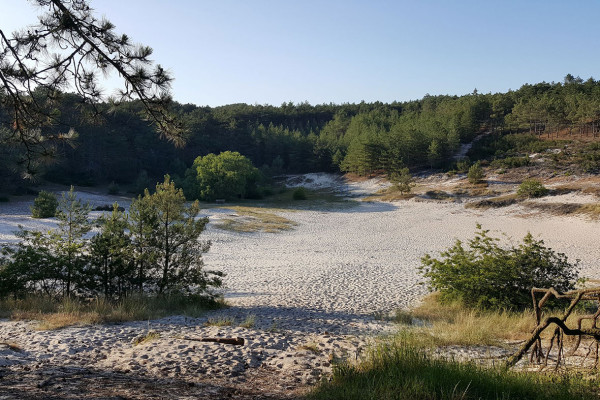 Kampeerterrein Buitenduin