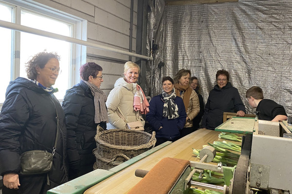 CoasTulip - excursie tulpenkwekerijen