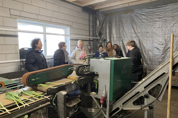 CoasTulip - excursie tulpenkwekerijen