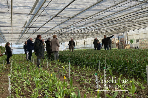 CoasTulip - excursie tulpenkwekerijen