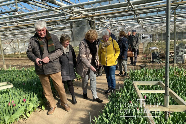 CoasTulip - excursie tulpenkwekerijen