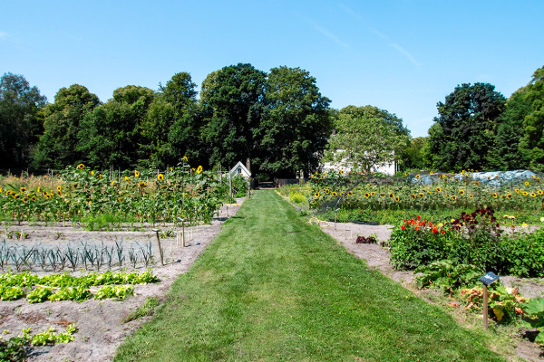 blooming - Restaurant Het Hof