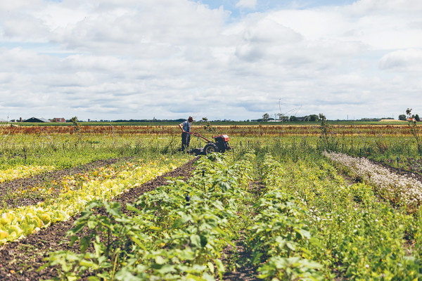 Landgoed Rorik, land-to-table