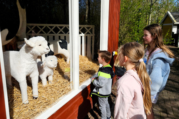 Speelpark deSwaan