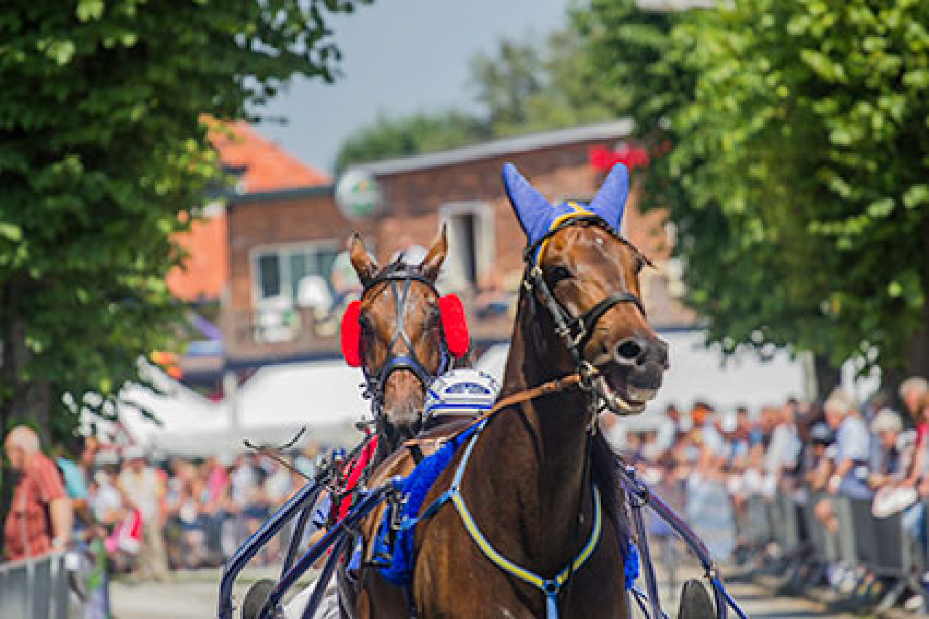 Kortebaandraverij Egmond aan den Hoef